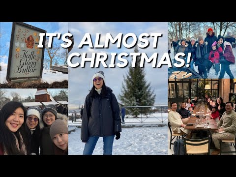 A very Christmas-y weekend 🎄 | Skansen and FIRST proper Julbord! 🎁