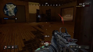 [BO4バトロワ]勝った勝った今日はどんかつだ！