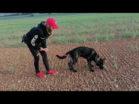 Ruby Rose Leryka - Stopa 5/2020(5 měsíců)