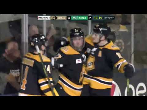 Maine Mariners vs. Newfoundland Growlers highlights - 11/5/22