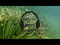 Turnaround Hans Zimmer Ft Camille