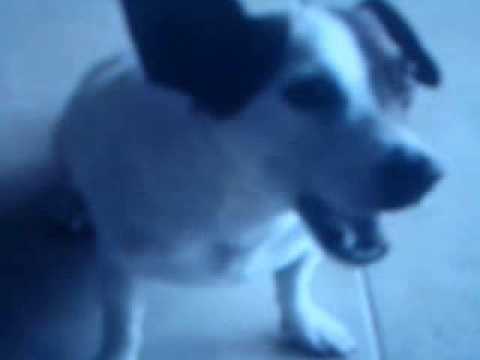 Bara Män - Sångarbröderna i Boxholm