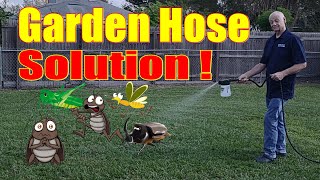 How to get rid of bugs in your yard.  Very easy.