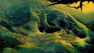 I Choose (lyrics) - The Offspring