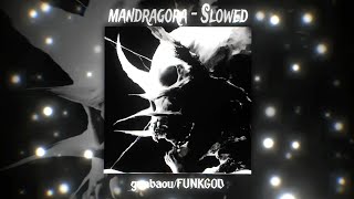 Download lagu MANDRÁGORA – SLOWED (gunbaou x FUNKGOD) | PSYCHEDELIC RITUAL PHONK 🌑🔥 mp3