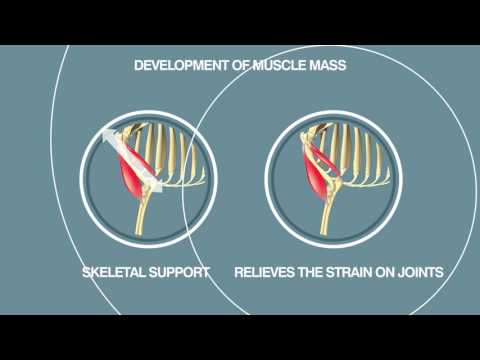 Váll ligamentum kezelés