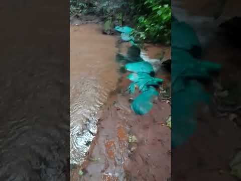 Prainha do Rio serrana São Tomé Paraná