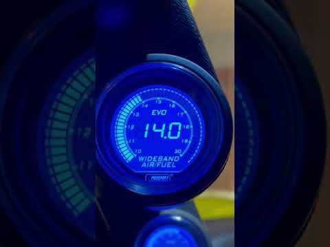 Prosport AFR guage installed and working