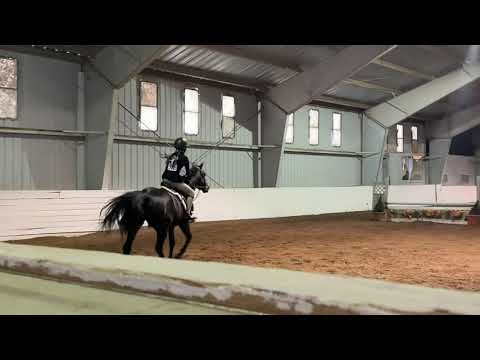 Lancelot K “Lance” video 4