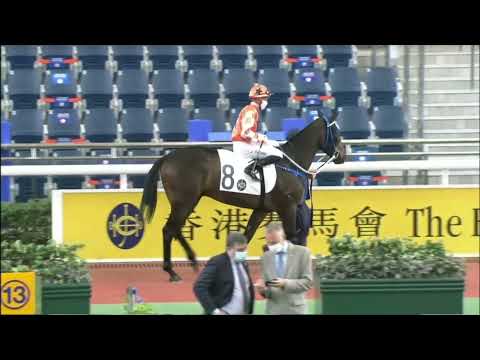 2022 03 06 沙田 第八場 連連行運 潘頓