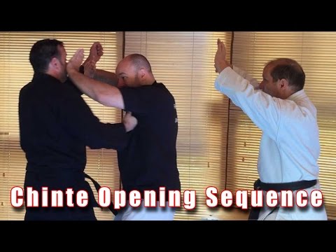 Practical Kata Bunkai: Chinte Start
