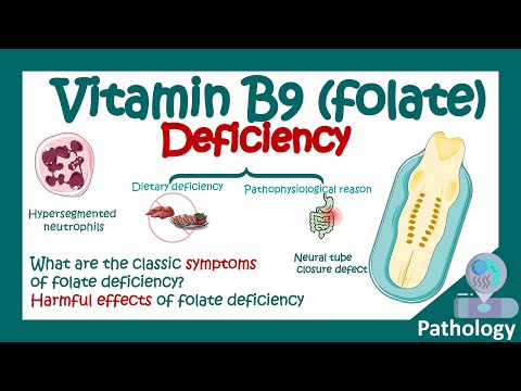 Folate deficiency | What are the symptoms of low folic acid? | Harmful effects of Folate deficiency
