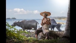 Download lagu SUARA SERULING, KECAPI, AIR MENGALIR DAN KICAU BURUNG. SUASANA ALAM PEDESAAN mp3 Download lagu SUARA SERULING, KECAPI, AIR MENGALIR DAN KICAU BURUNG. SUASANA ALAM PEDESAAN mp3