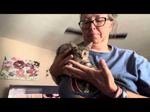 You’re Not Going to Believe This…