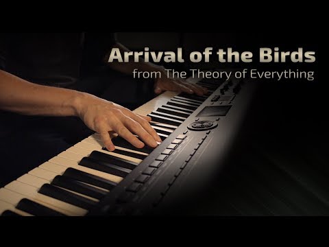 Arrival of the Birds - The Cinematic Orchestra (from The Theory of Everything) \\ Jacob's Piano