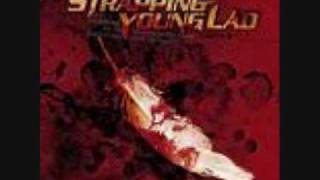 Strapping Young Lad - Force Fed