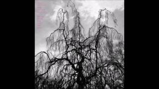 Colin Stetson And Srah Neufeld - And Still They Move