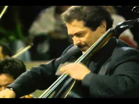 Lalo. Cello Concerto. 1mov. Cello: William Molina Cestari. Cond: Gustavo Dudamel