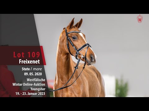 Winter Online-Auktion Lot 109 Freixenet Stute v. Fürst Samarant - Franziskus