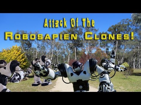 Attack Of The Robosapien Clones