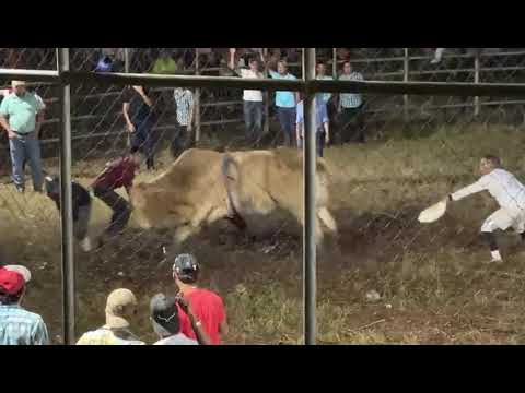 SAN PEDRO DE LOVAGO CH 2025