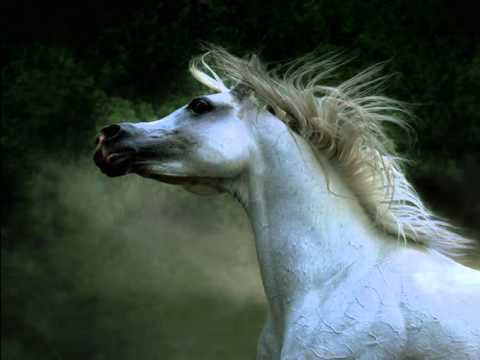 Knight Ride. Compuesta por Lisa Lynne. Arr. Athy y Harpestry Celtic Band 2003.