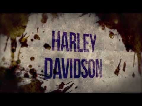 Summer Basket 2013 - Principi la Volpe