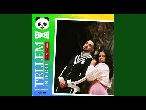 In Je Grip (feat. Numidia)