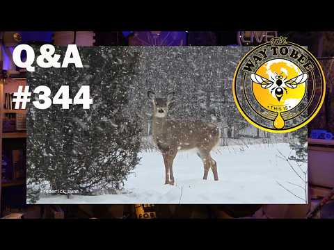 Backyard Beekeeping Q&A 344 Friday the 13th of February 2026