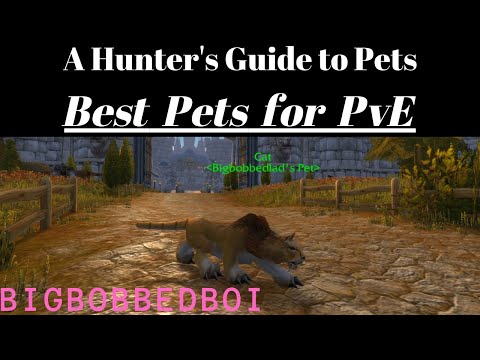 A Hunter's Guide to Pets: Best Pets for PvE | Classic WoW Tutorial