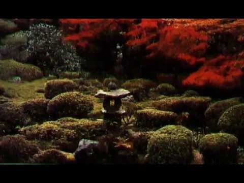 Uma Voz no Vento - Leila Pinheiro