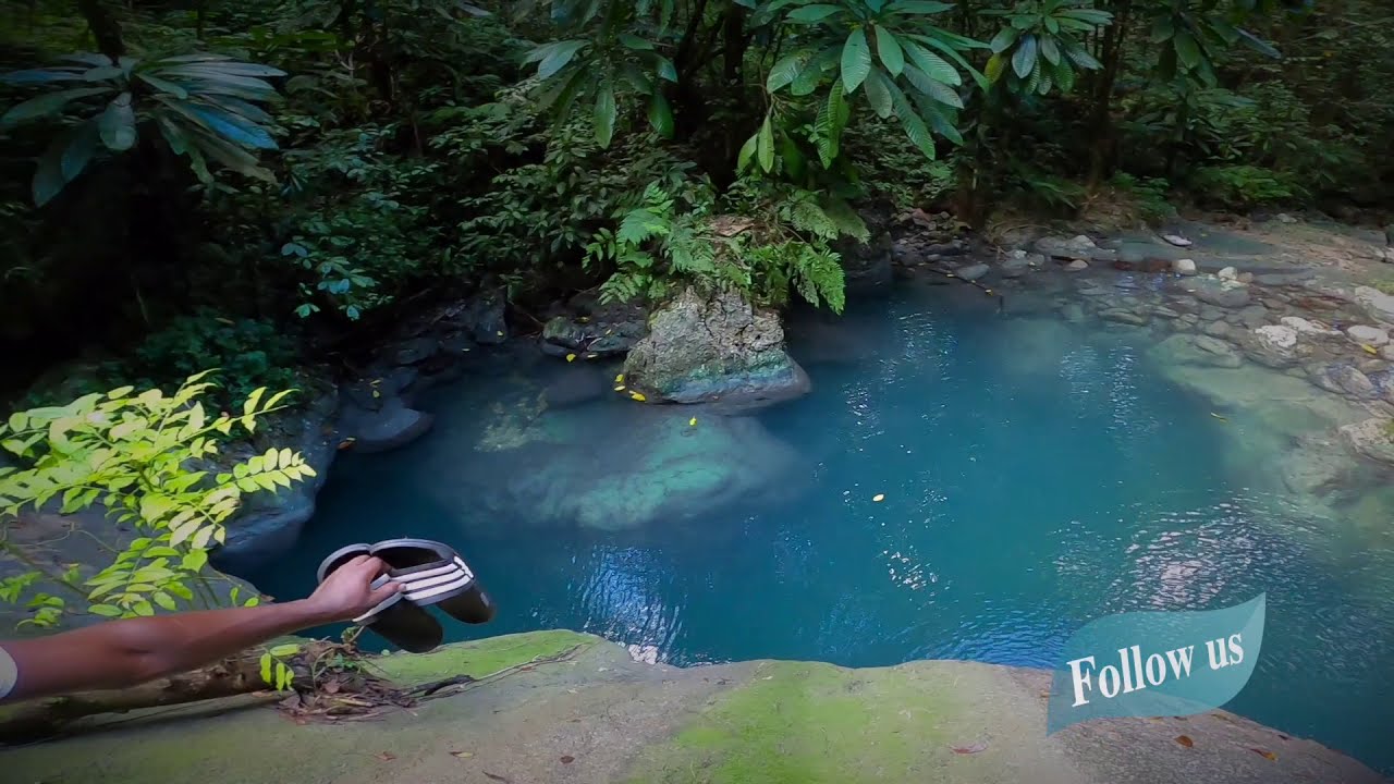 Journey To Nonsuch Falls In Portland Blue Lagoon Tours Pure Jamaica