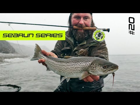 SEARUN Series - Episode 20 - In the zone