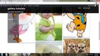 Robo gallery wordpress plugin
