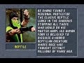 Mortal Kombat II Arcade Reptile Gameplay On Very Hard No Continues