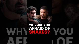 WHAT YOUR FEAR OF SNAKES SAYS ABOUT YOU