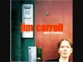 Jim Carroll "Falling Down Laughing"