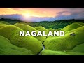Nagaland India S Most Surprising State Dzukou Valley Beautiful Villages Northeast India