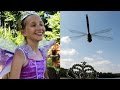 Astromo - Magic Dragonfly [Official Music Video]
