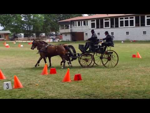 Fahrturnier Alfhausen 25.5.2019
