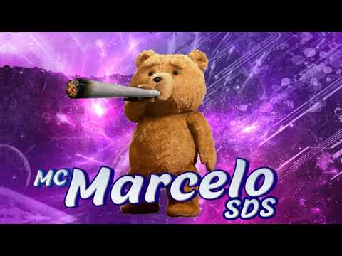 BEAT FINO AMEDRONTADOR DA DZ7 - MC RENAN SDS E MC MARCELO SDS - (DJ PARAVANI DZ7)