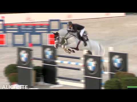 Wall of Fame – Alicante