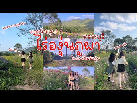 ถ่ายรูปสวนดอกไม้ที่ไร่องุ่นภูผา ราชบุรี | Pai Kub Matt