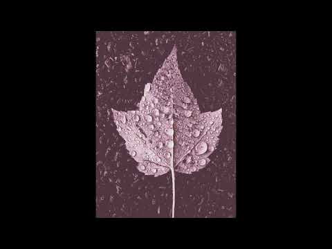 INFIDELIX: SOUL DRIFTER