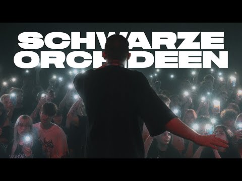 navy x young kira - schwarze orchideen