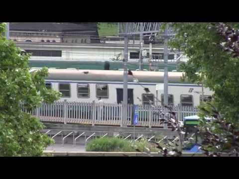 E464 + 4 piano ribassato 1965 e 1973 - Monza 26/06/2014