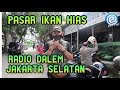 Pusat Penjualan Ikan Hias Jakarta Selatan