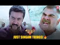 Suriya S Ultimate Mass Action Scene Singam 3 Shruthi Hasaan Anushka Shetty Sun NXT