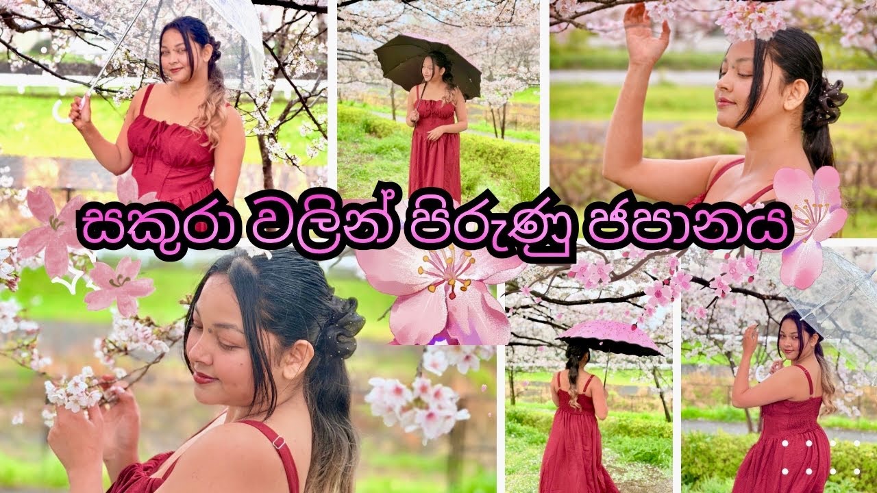 සකුරා වලින් පිරුණු ජපානයේ ලස්සනම දවසක් 🇯🇵🌸|| අපි ගියපු picnic එක ☕👬🌸