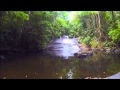 Kabalebo Nature Resort Orange Travel